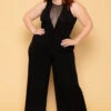 Plus Size Nicki Mesh Jumpsuit - Black -Kitchensuppliesdeal curvy sense jumpsuits and rompers plus size nicki mesh jumpsuit black 29888171933793